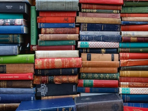 Јана Баћевић: Стварност