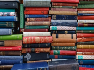 Иља Павлов: Владимир Бибихин као филозоф технике (1)