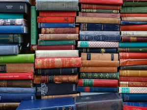 Иља Павлов: Владимир Бибихин као филозоф технике (2)