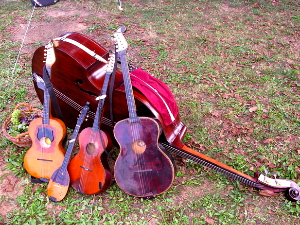  Тамбурица златна жица 