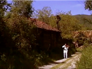  1001 Траг – Ево банке цигане мој – Љиљана Шљапић 