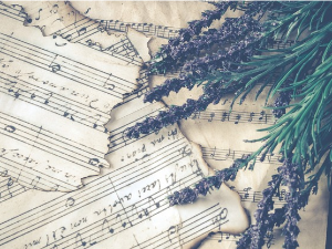  Свирај свирче – зурле 