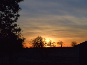 Ритам раног јутра