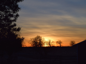 Ритам раног јутра