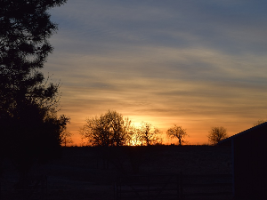 Ритам раног јутра