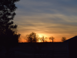 Ритам раног јутра