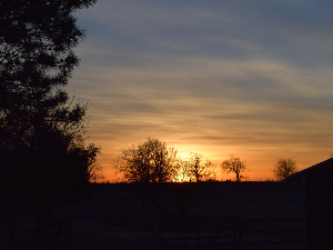 Ритам раног јутра