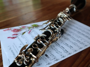  Свирај свирче – кларинет 