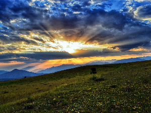 Ритам раног јутра