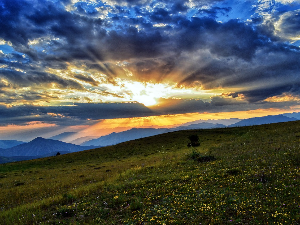 Ритам раног јутра