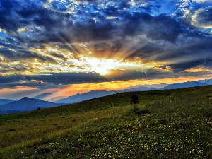 Ритам раног јутра