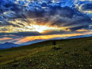 Ритам раног јутра