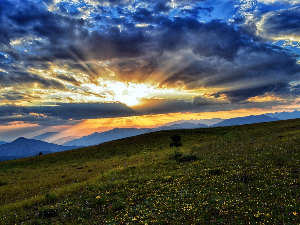 Ритам раног јутра
