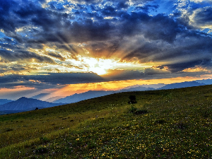 Ритам раног јутра