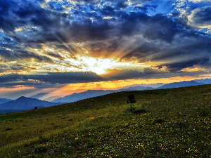 Ритам раног јутра