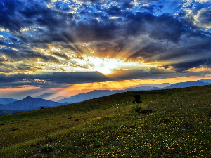 Ритам раног јутра