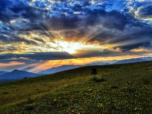 Ритам раног јутра