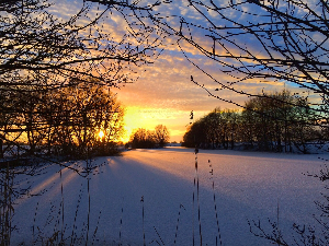 Ритам раног јутра