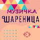 Музичка шареница