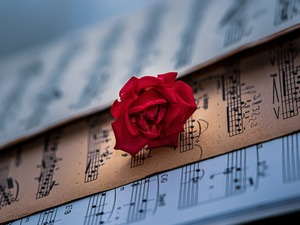 Жене у музици – Лиза Леман