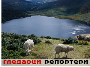 Гледаоци репортери (3. април 2023.)