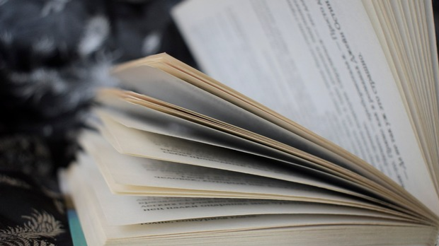 Код два бела голуба: Песник Брана Петровић