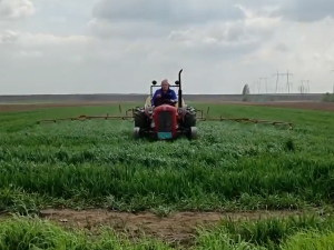 Падавине и температурне промене доприносе развоју биљних болести на пшеници