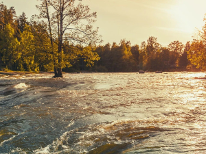 Ритам раног јутра