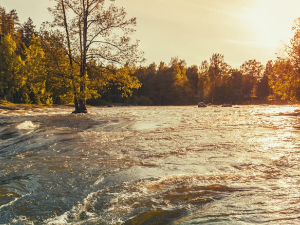 Ритам раног јутра