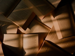 Бошкo Томашевић: Noli me legere