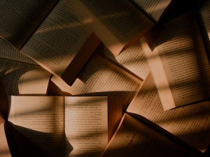 Станислава Бараћ и Тијана Матијевић: Југословенска женска књижевност 30-их година 20. века (2)