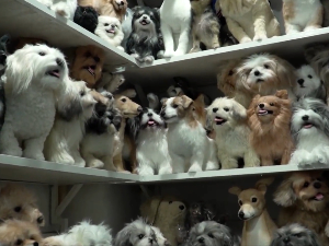 Зашто се на Филипинима праве другачији плишани пси и мачке