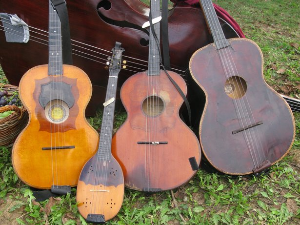  Тамбурица златна жица 