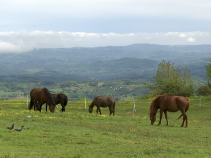 Зашто имање породице Рабат на Соколским планинама пореде са Нојевом барком