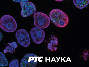 Наука кроз приче: Радионица генија