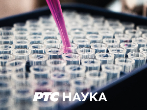 Арт записи о природи: Трећа емисија