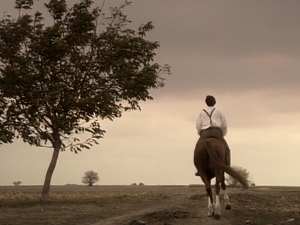  1001 Траг – Гине вене срце у меника – Анђелка Говедаровић 