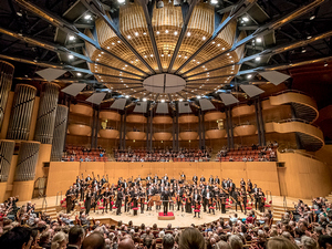 Нова дискографија