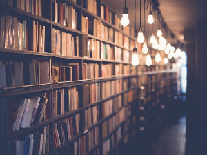 Наташа Миловић: Будућност и непрозирност