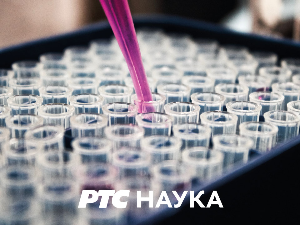 Како мисли Академија: Зграда и човек