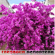 Гледаоци репортери (28. мај 2023.)