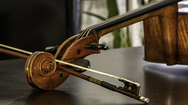 Уметност интерпретације – Виолончелиста Анер Билсма