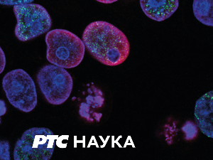 Наука кроз приче:	Сви Марсови роботи