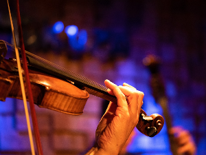 Музички фестивали