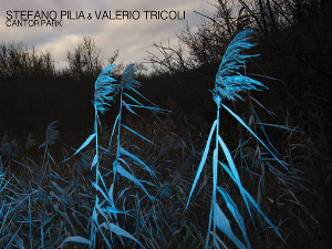 Имагинарни пејзажи