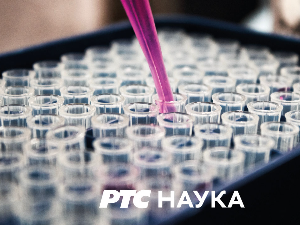 Траг у простору: Љубавни зов краља шуме