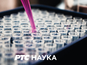 Филозофија и …: Љубав