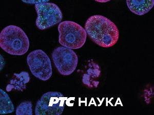 Образовно огледало: Приче са зидова, 1. део