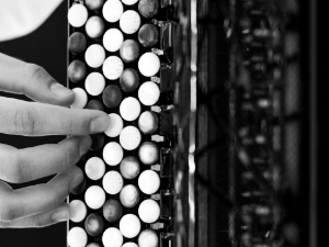 Век хармонике – Молдо дуо