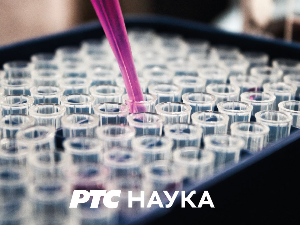 Археокухиња: Римска свадбена трпеза